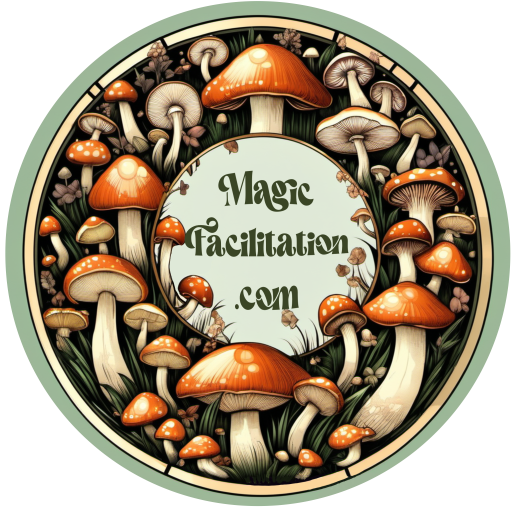 Magic Facilitation
