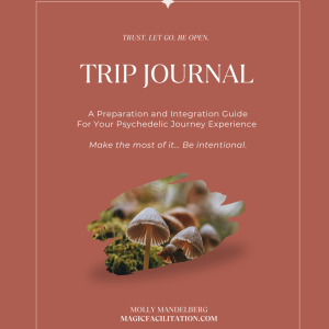 Trip Journal